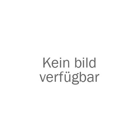 Reinigungsmaschine WM Intelligentes Reinigungsgerät